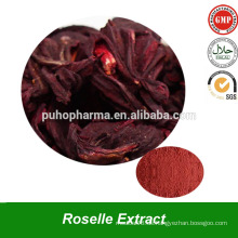 Getrocknete Roselle Blütenextraktpulver mit Proanthocyanidin Aus Hibiscus sabdariffa